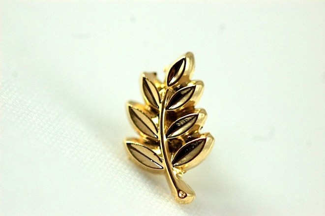 spring-of-acacia-masonic-pin