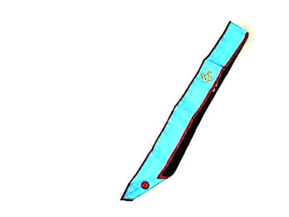 REAA_MASTERS_SAS_4d69c4c566692.png