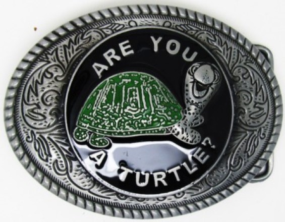 are-you-a-turtle-belt-buckle